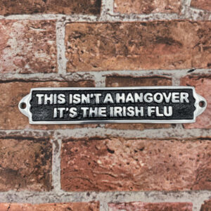 25CM ALUMINIUM THIS ISNT A HANGOVER SIGN