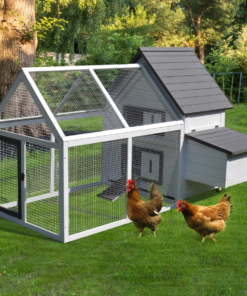 Wooden Chicken Coop Hen House Enclosure with Ramp Run Nesting Box Pawhut
