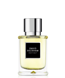 David Beckham Instinct Eau De Toilette Spray 30ml