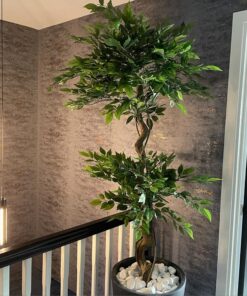 150cm Twisted Trunk Artificial Japanese Fruticosa Style Ficus Tree