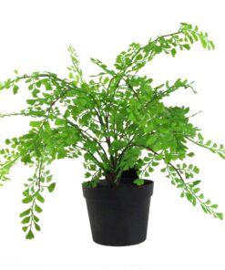 35cm Artificial Potted Fern Plant (Southern Maidenhair Fern)