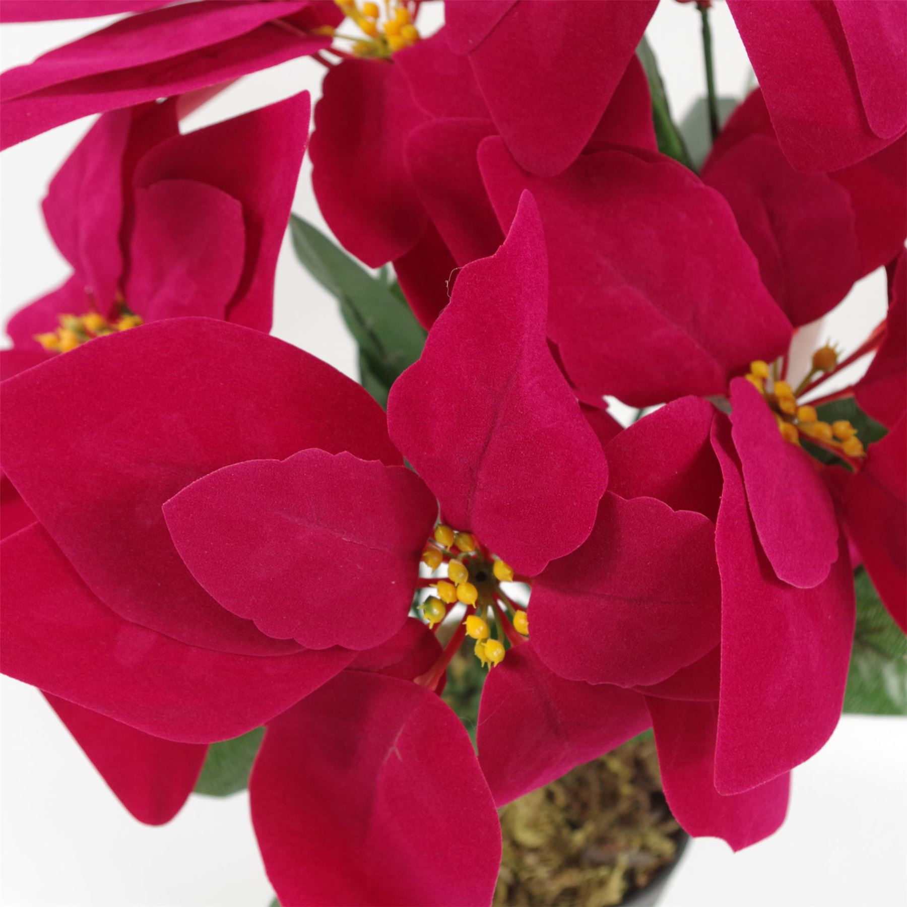 Artificial Christmas Xmas Red Poinsettia 40cm Potted Houseplant - Image 3