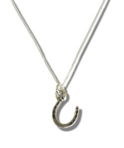 Horseshoe Silver Necklace