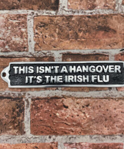 25CM ALUMINIUM THIS ISNT A HANGOVER SIGN