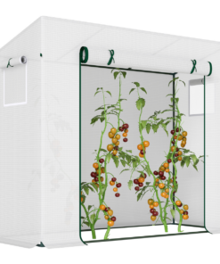 Outsunny Walk-In Greenhouse, Steel Frame, Roll-Up Door, Plant Warm House